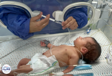 مرگ نوزادان نارس در غزه